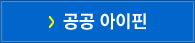 공공 아이핀